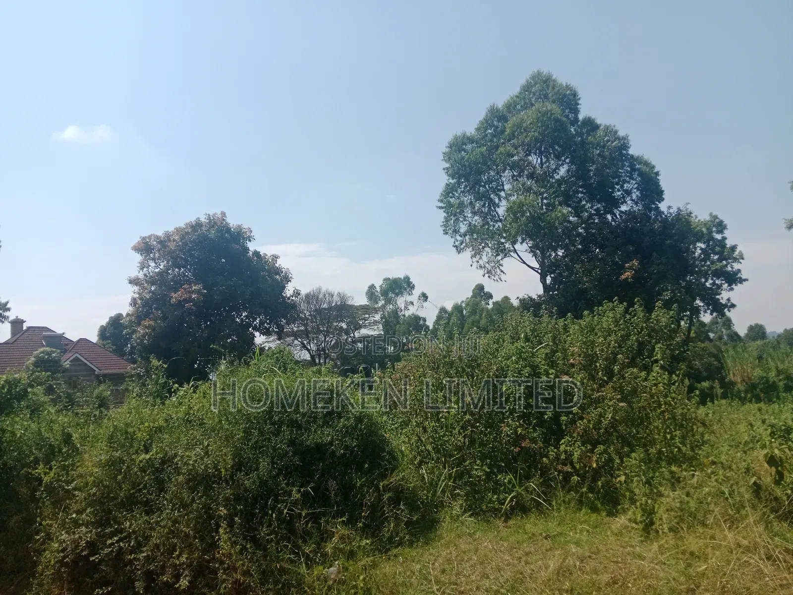 One Acre Land for Sale in Ngecha, Limuru in Ngecha