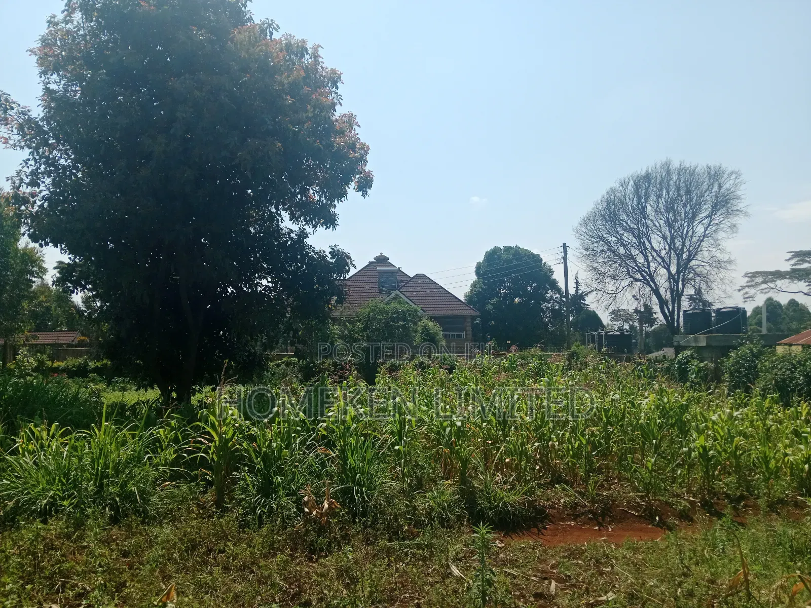 One Acre Land for Sale in Ngecha, Limuru in Ngecha