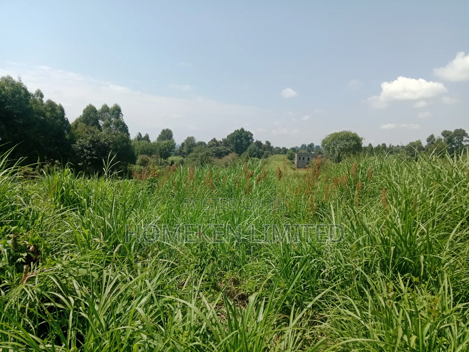 One Acre Land for Sale in Ngecha, Limuru in Ngecha