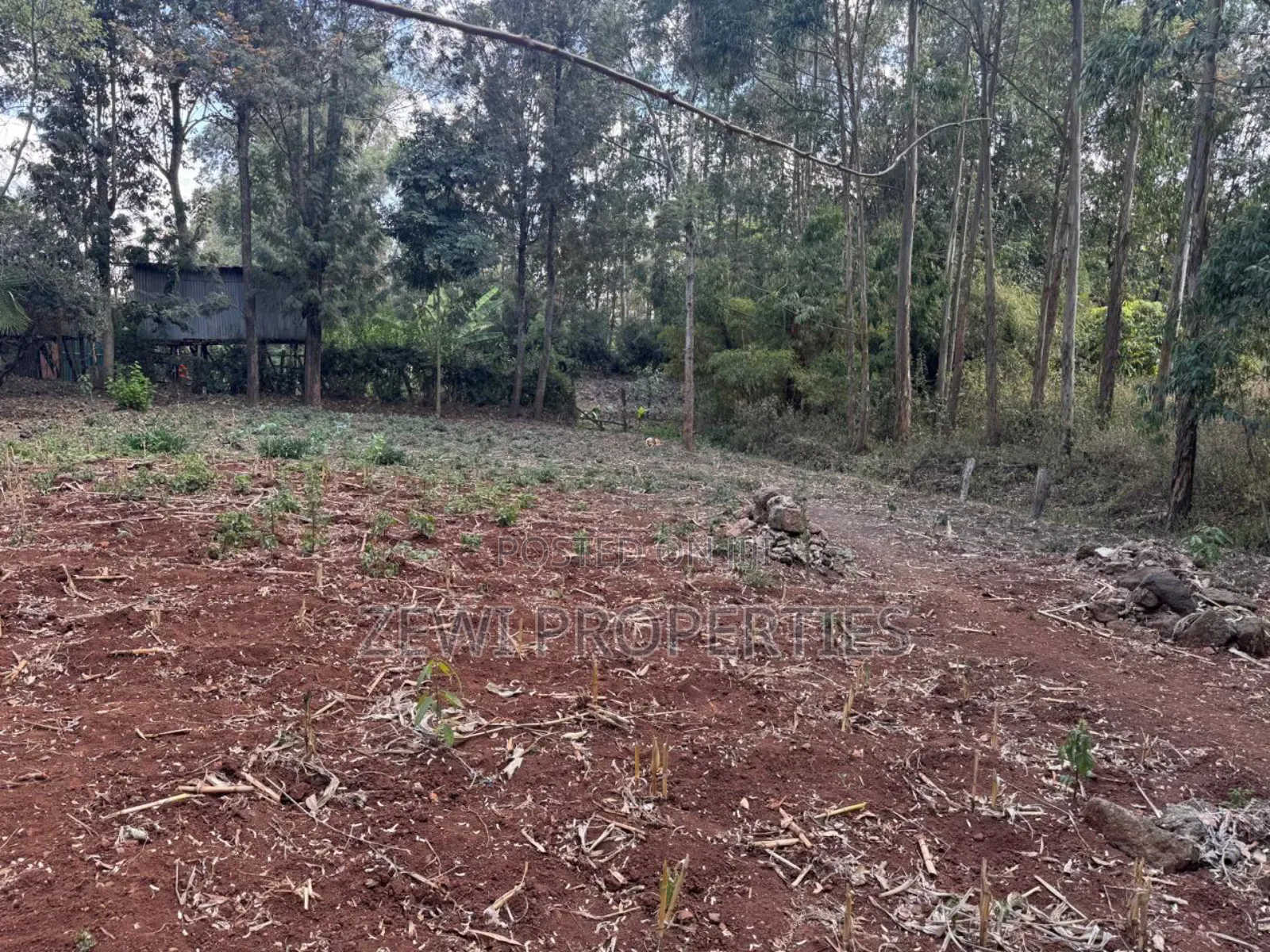 One Acre Kerarapon in Kerarapon