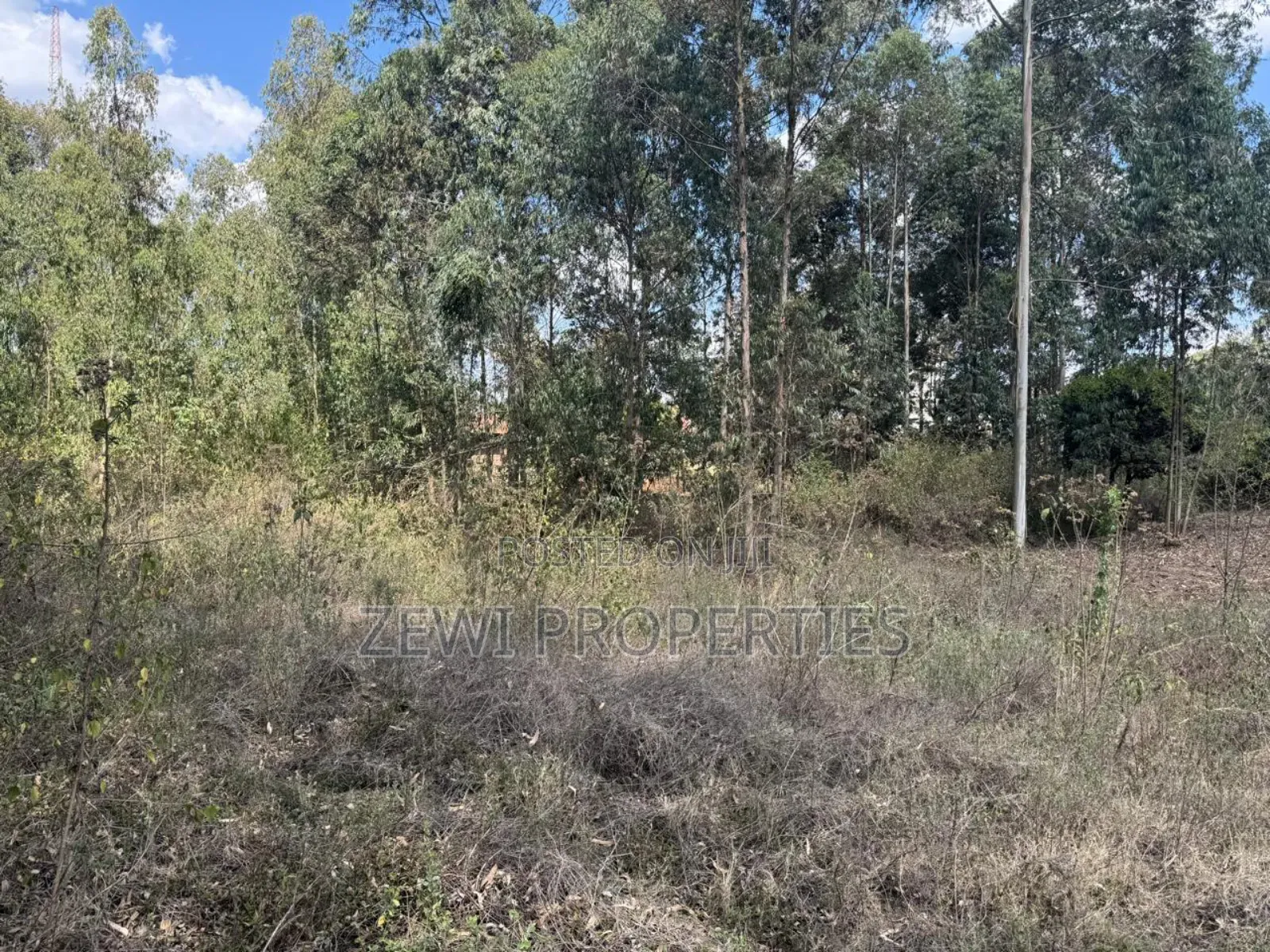 One Acre Kerarapon in Kerarapon