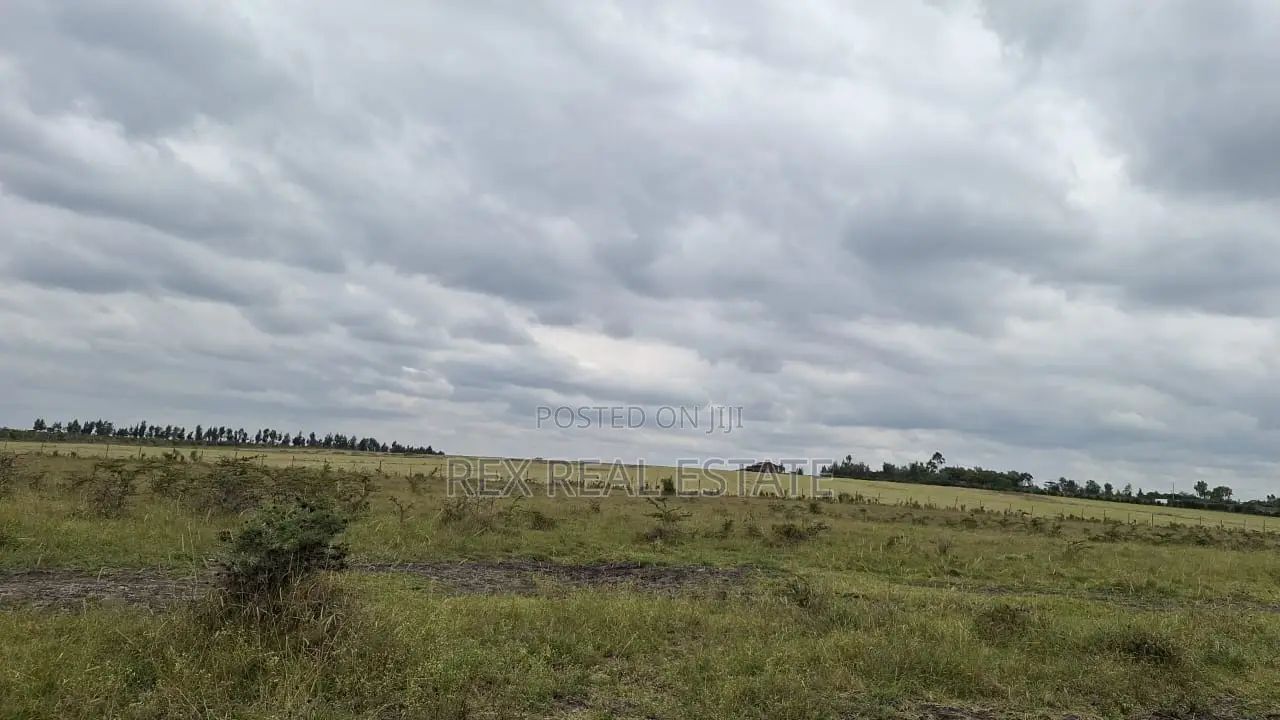Amazing Investment Opportunity in Kitengela in Kitengela
