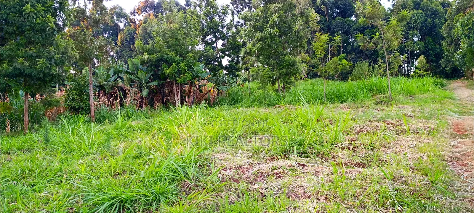 Kikuyu Plots for Sale(Muguga Thamanda) in Kikuyu