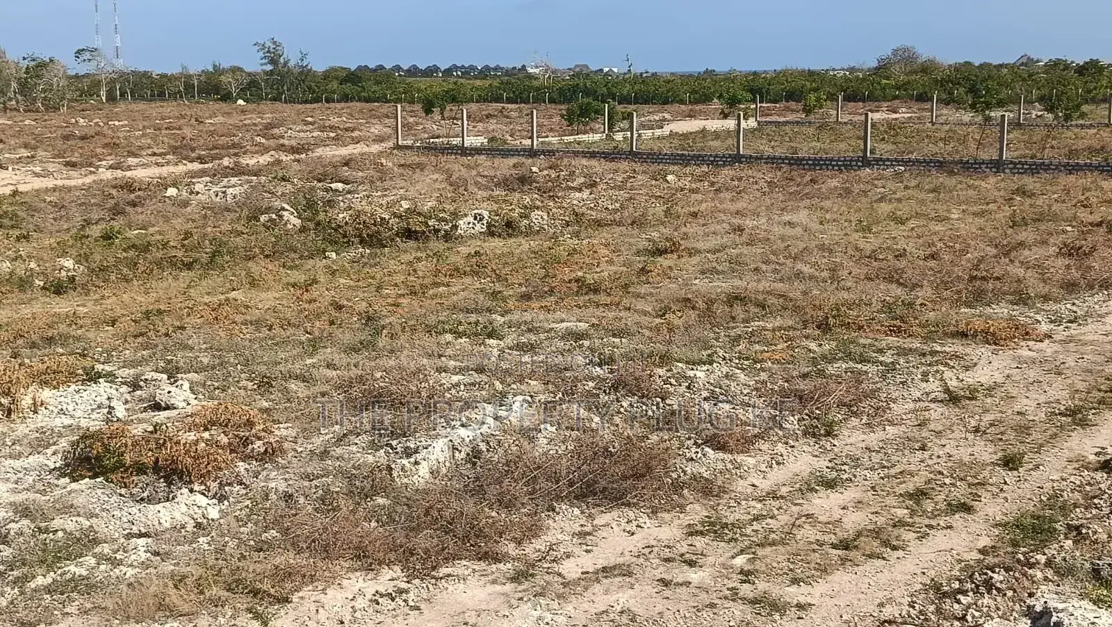 50 by 100 Plots for Sale in Watamu Kilifi County Near Jacaranda Beach in Watamu