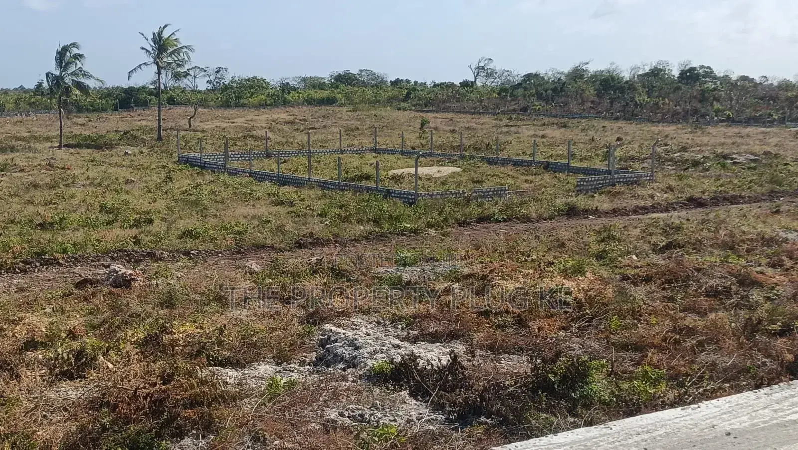 50 by 100 Plots for Sale in Watamu Kilifi County Near Jacaranda Beach in Watamu