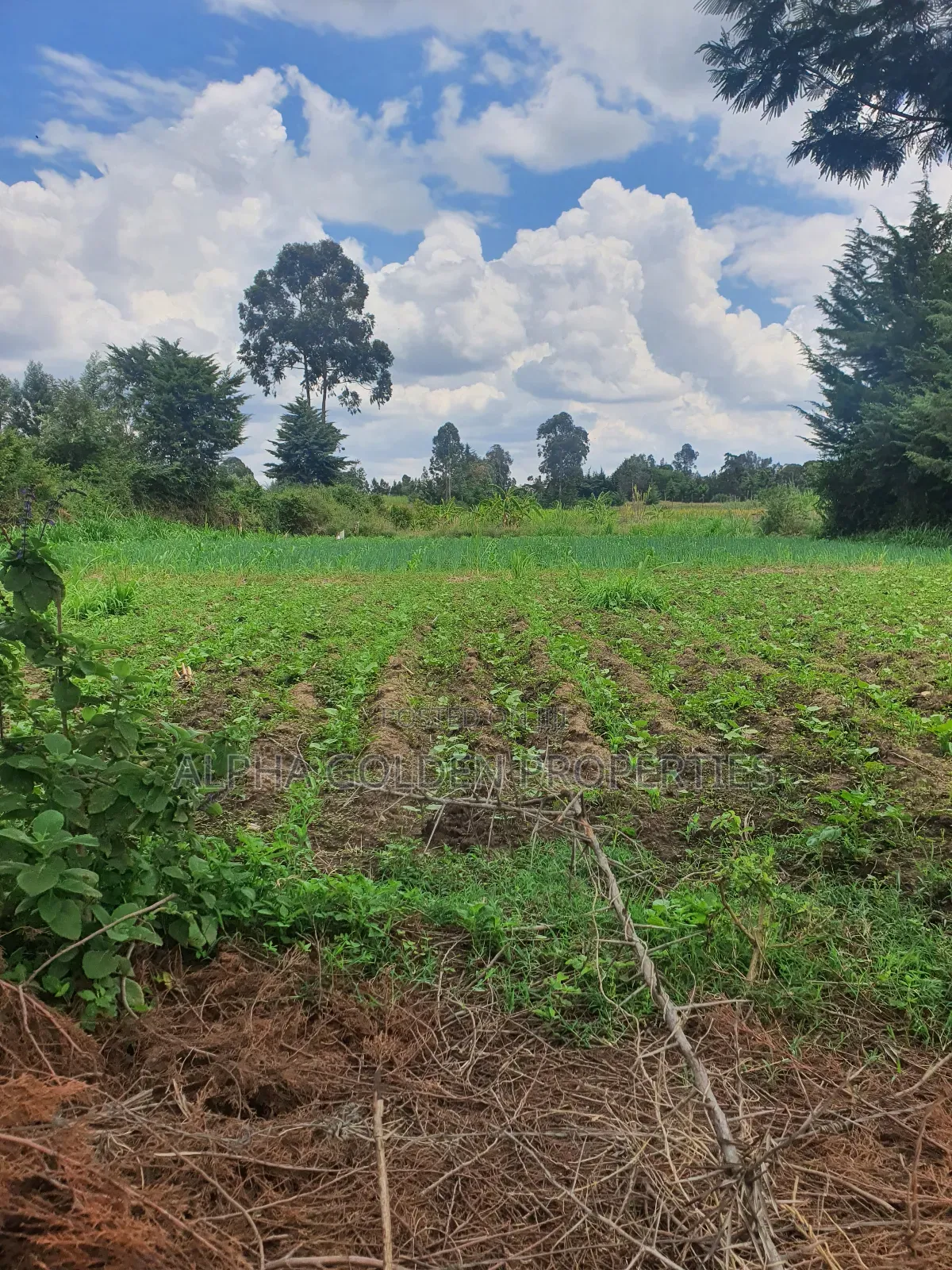 1 Acre in Nanyuki [ Kwahuku ] in Nanyuki