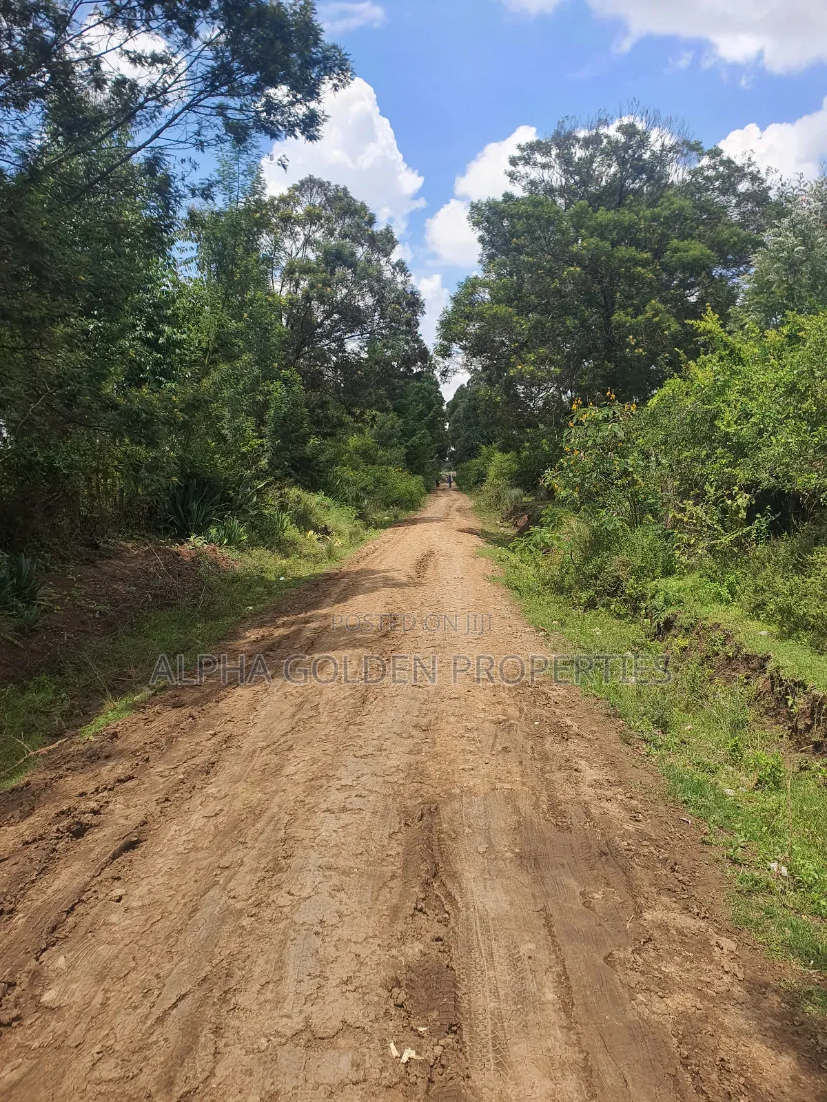 1 Acre in Nanyuki [ Kwahuku ] in Nanyuki
