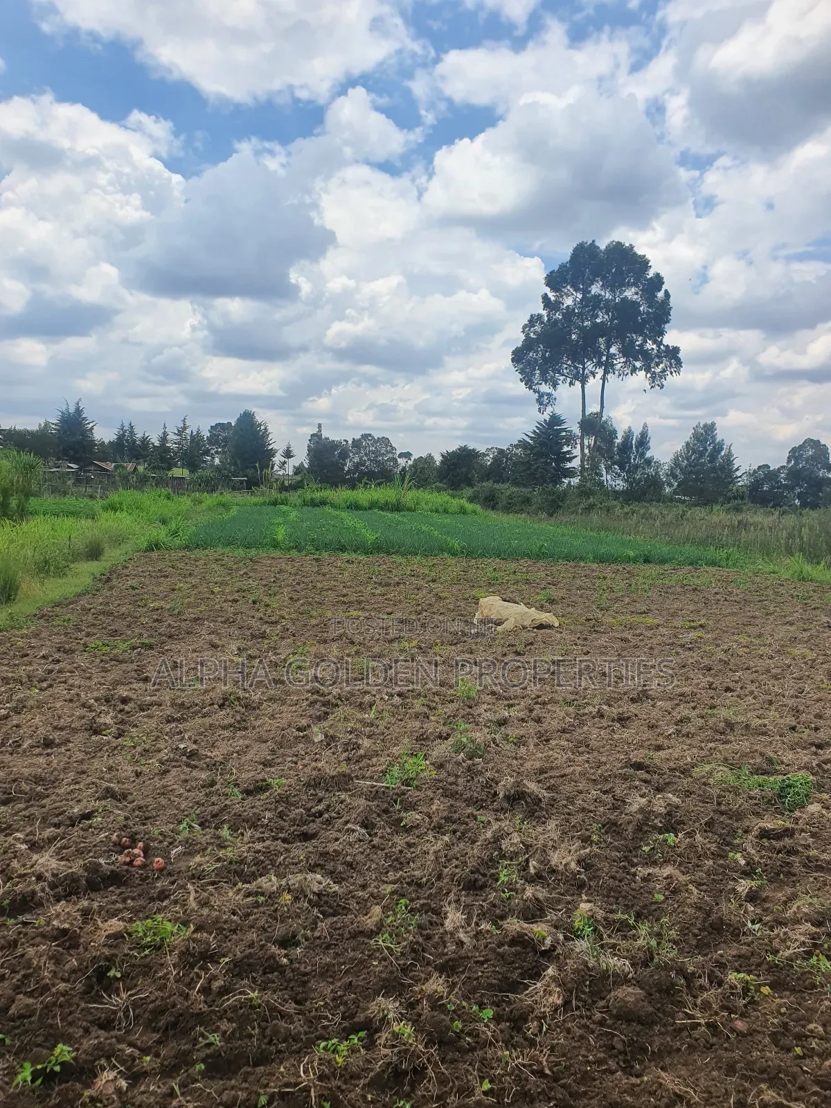 1 Acre in Nanyuki [ Kwahuku ] in Nanyuki