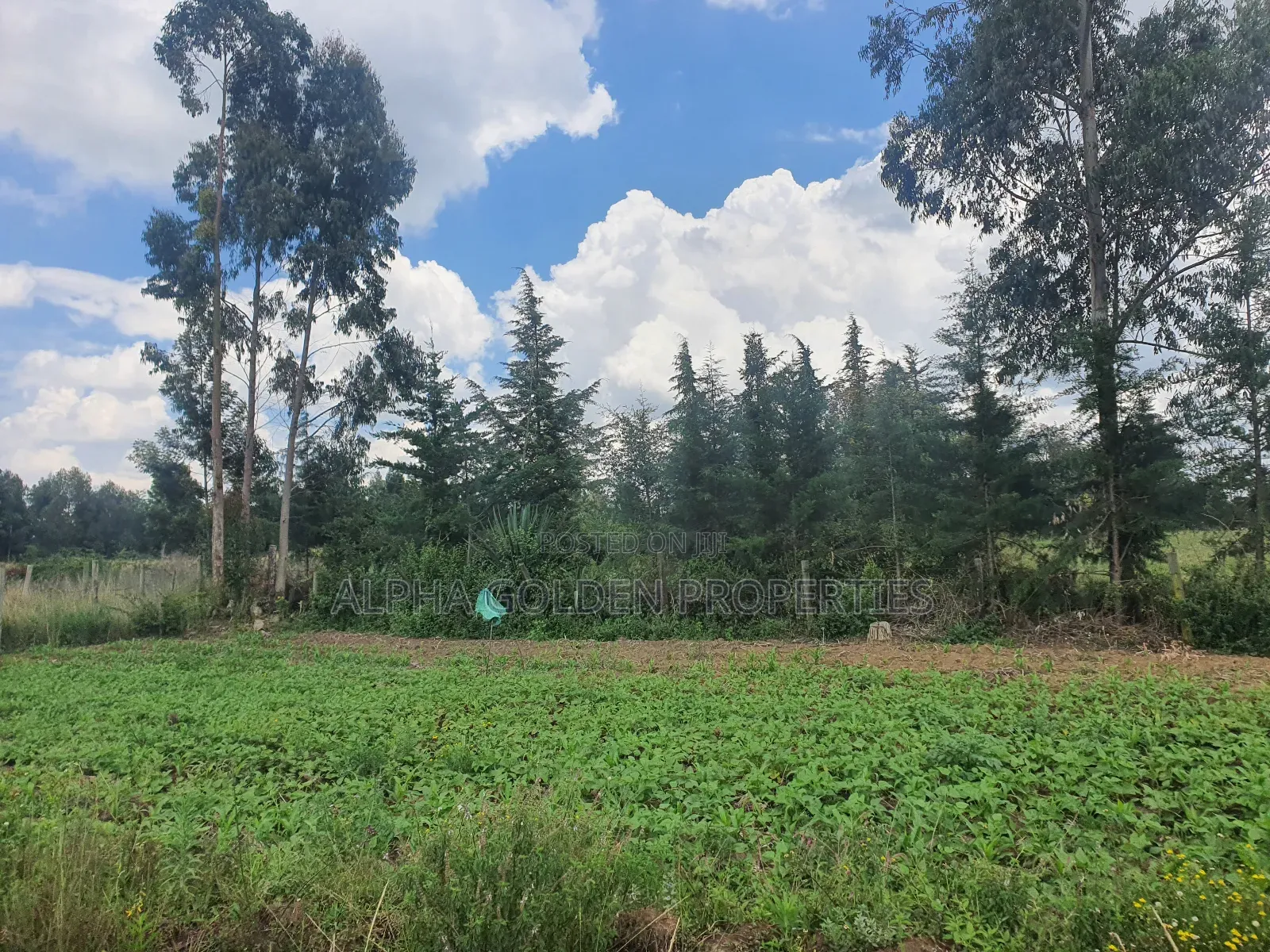 1 Acre in Nanyuki [ Kwahuku ] in Nanyuki