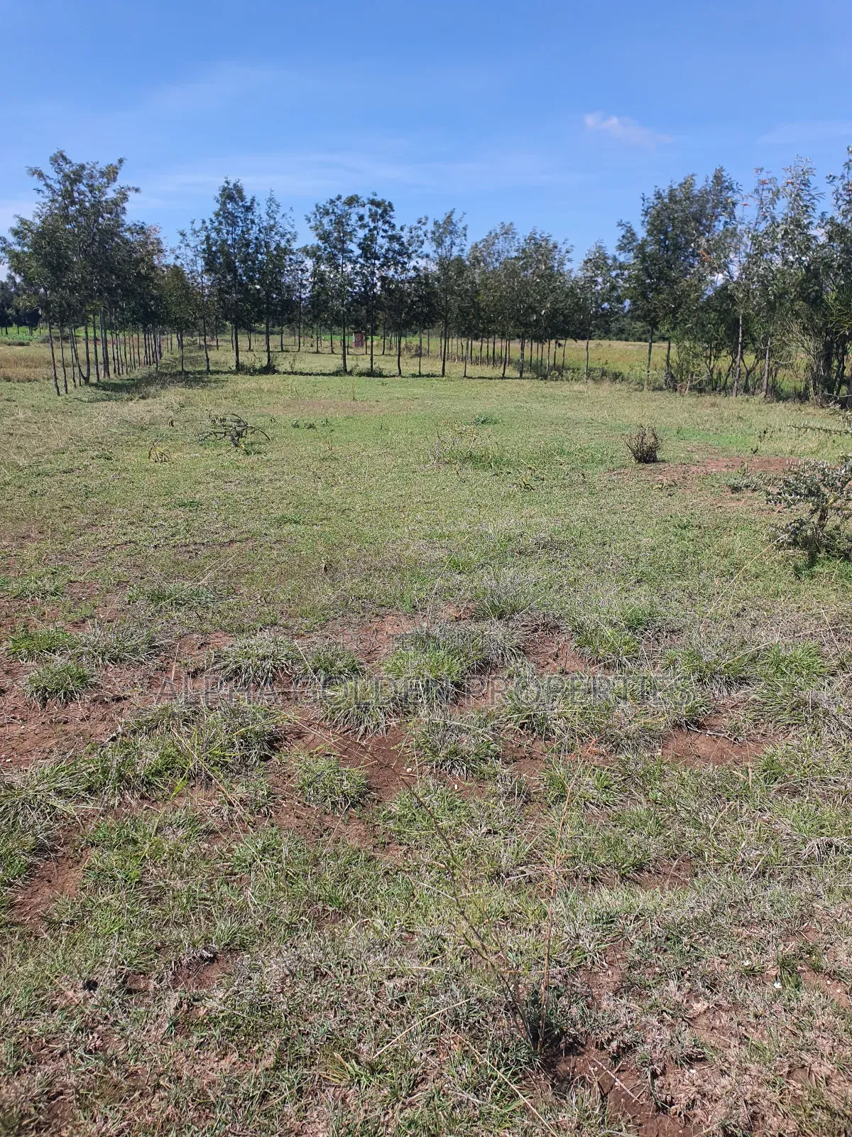 2 Acres Fronting River [ Nanyuki ] in Nanyuki