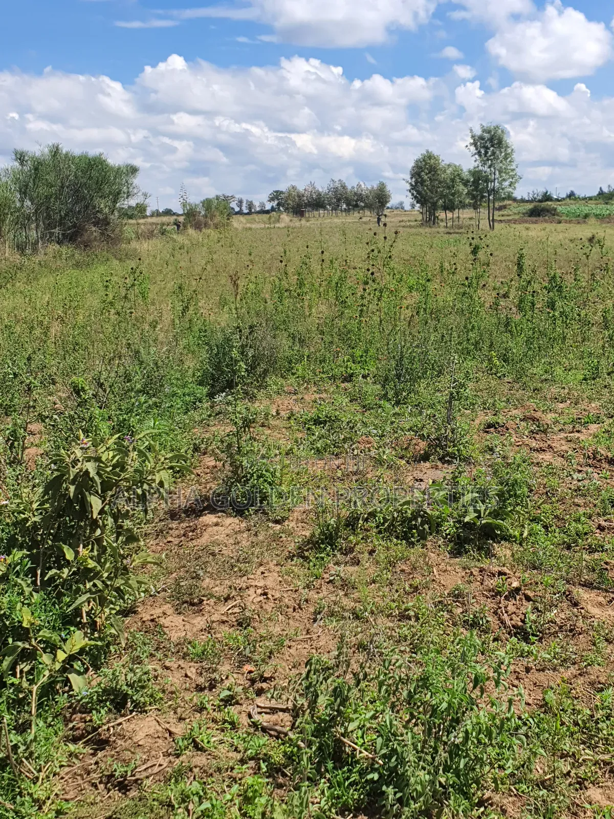 2 Acres Fronting River [ Nanyuki ] in Nanyuki