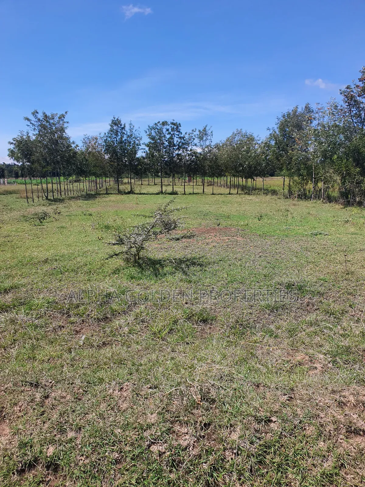 2 Acres Fronting River [ Nanyuki ] in Nanyuki
