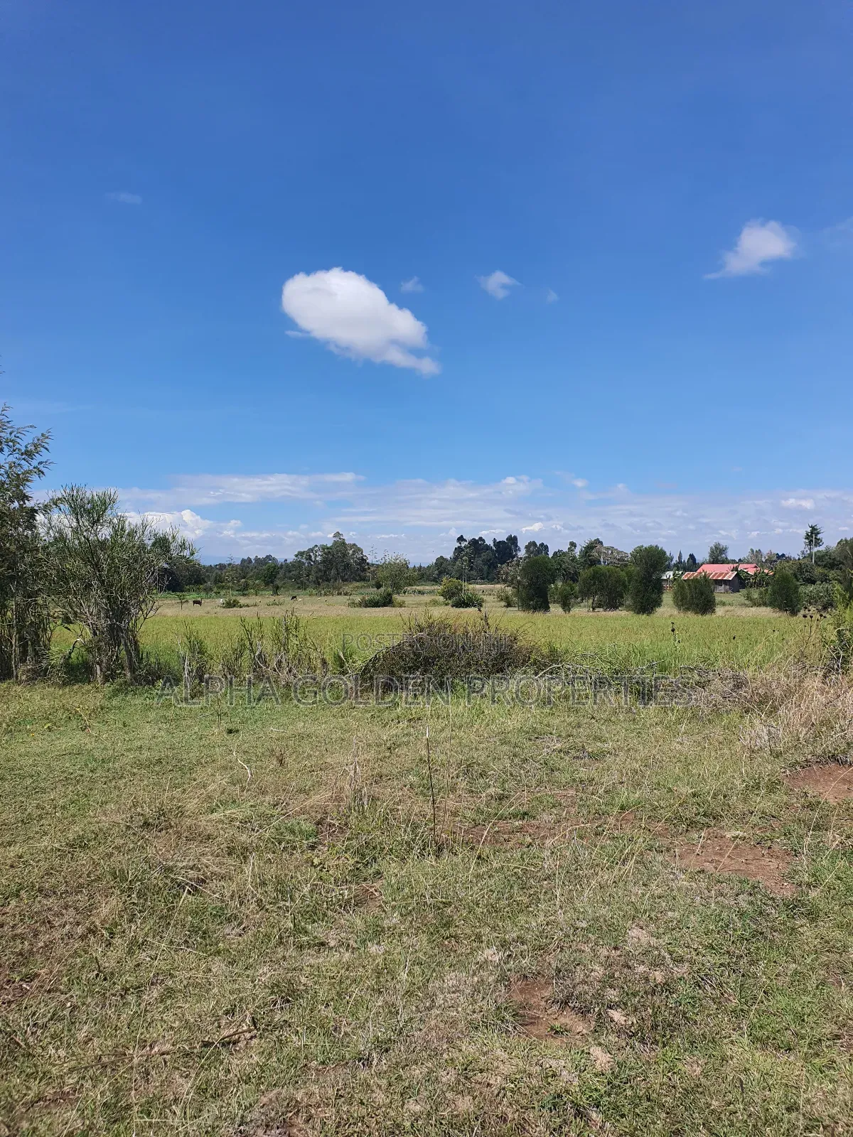 2 Acres Fronting River [ Nanyuki ] in Nanyuki