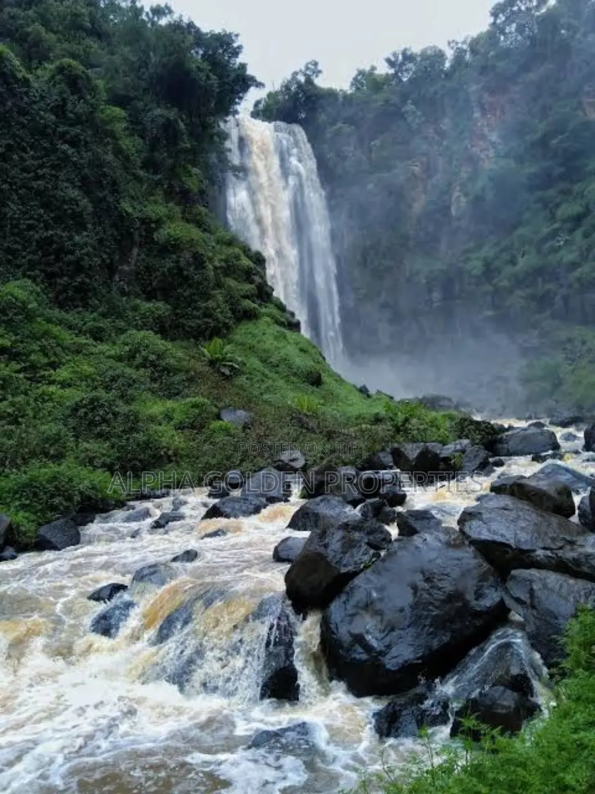 15.6 Acres in Ngobit [ Near Nairutia Town ] in Nyahururu