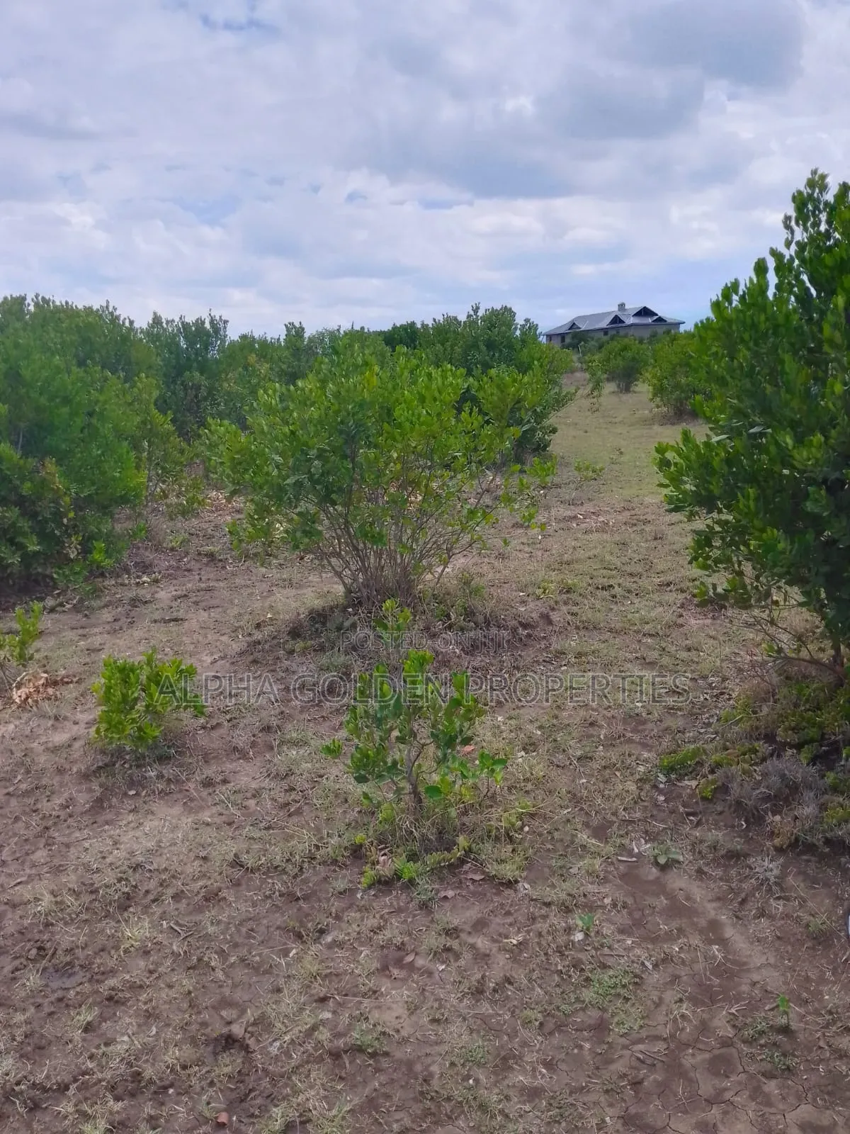 15.6 Acres in Ngobit [ Near Nairutia Town ] in Nyahururu