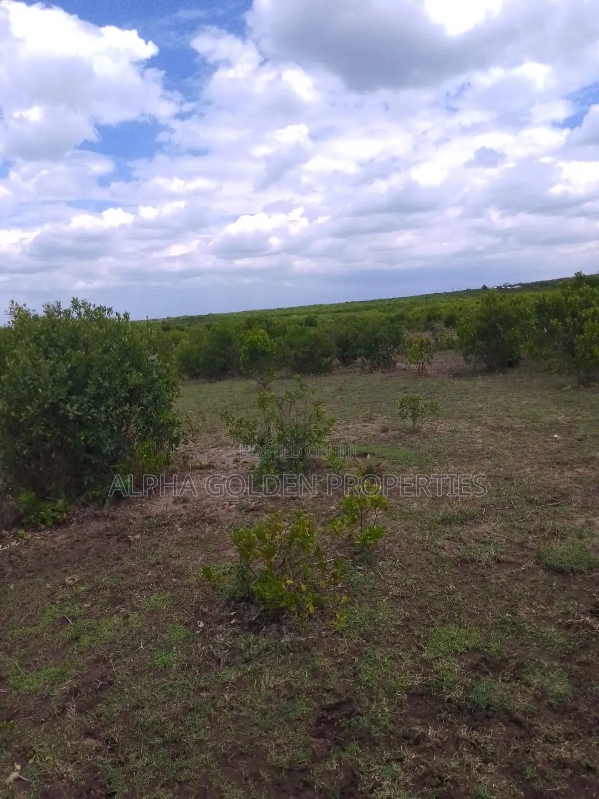 15.6 Acres in Ngobit [ Near Nairutia Town ] in Nyahururu