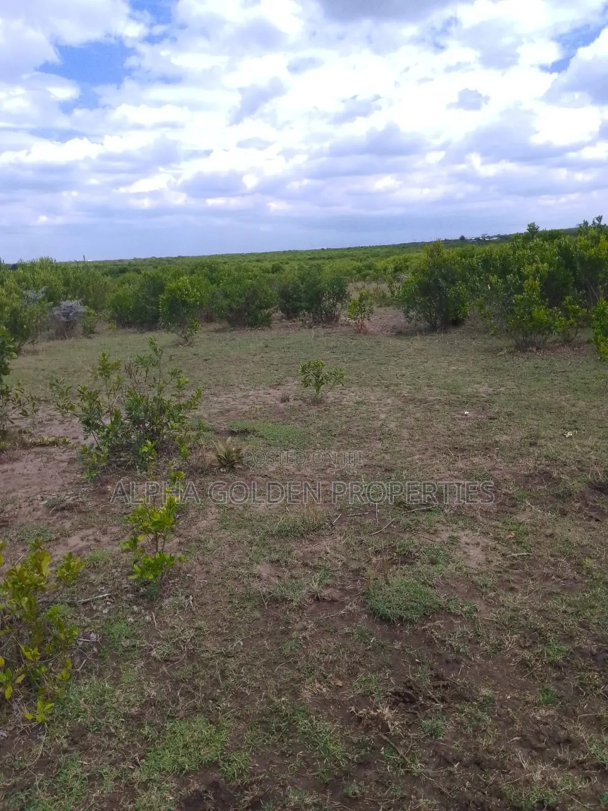 15.6 Acres in Ngobit [ Near Nairutia Town ] in Nyahururu