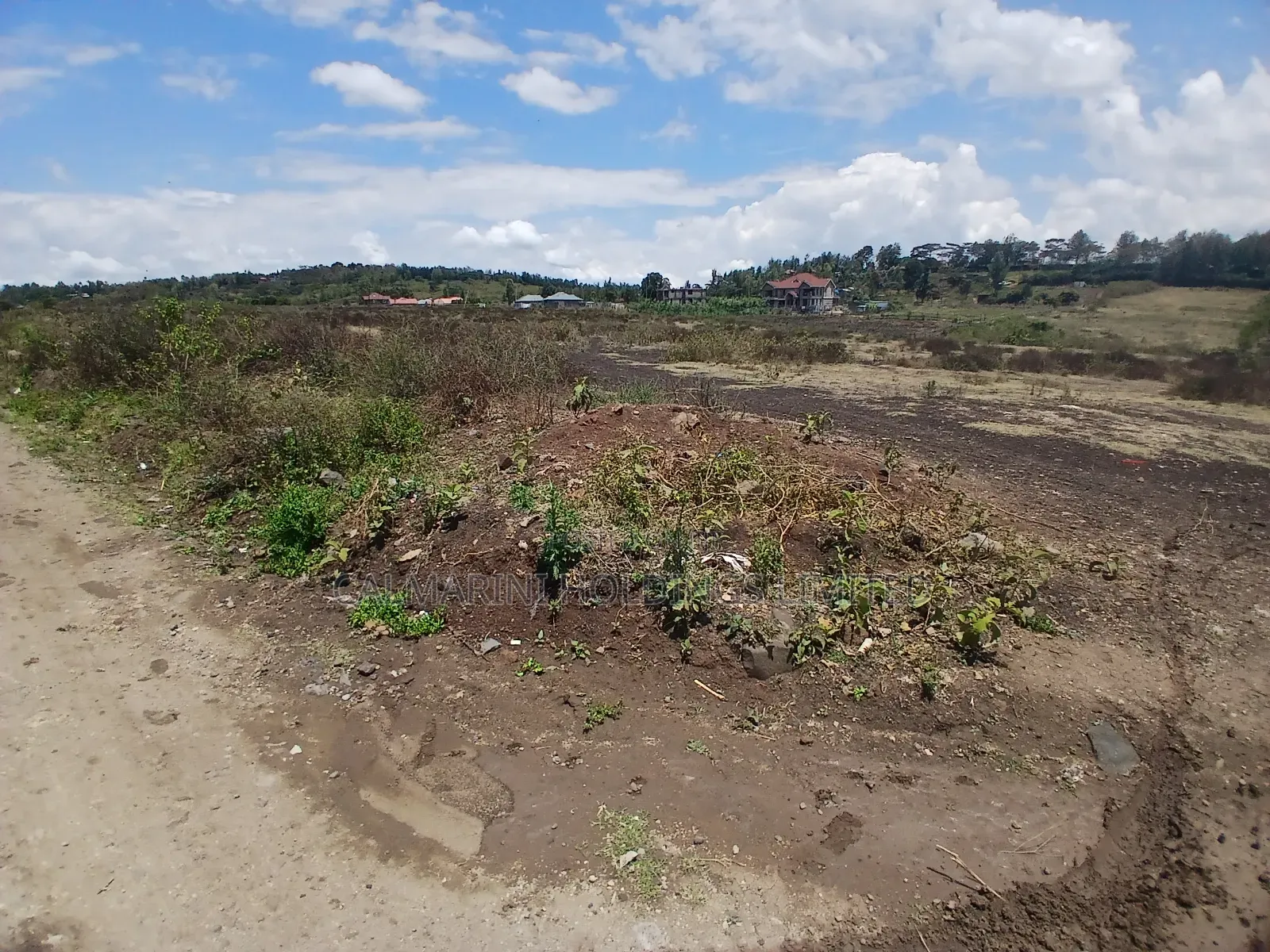 Prime 1/8 Acre in Upper Matasia for Sale Touching Access Road in Matasia