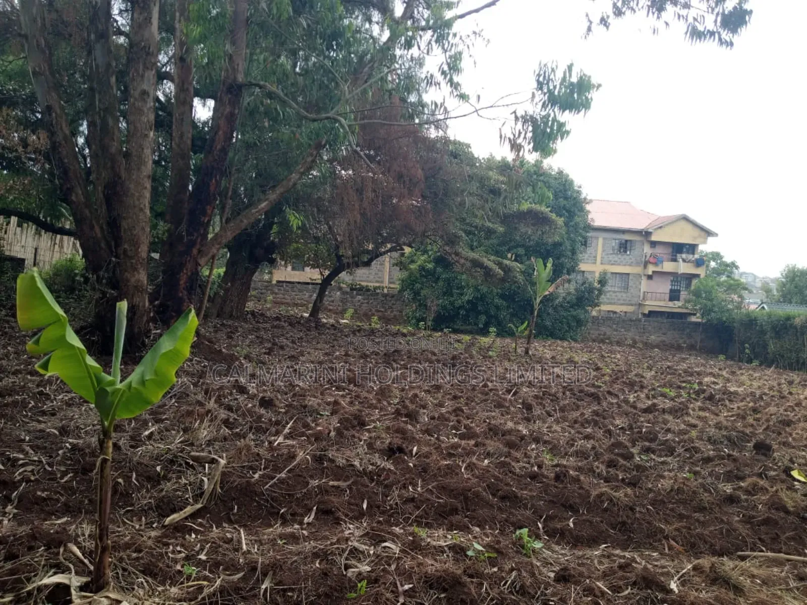 Prime Freehold Commercial 1/2 Acre in Ngong Town in Ngong CBD