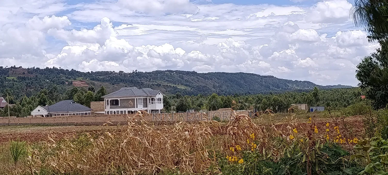Kikuyu Thigio Plots for Sale-Opposite in Kikuyu