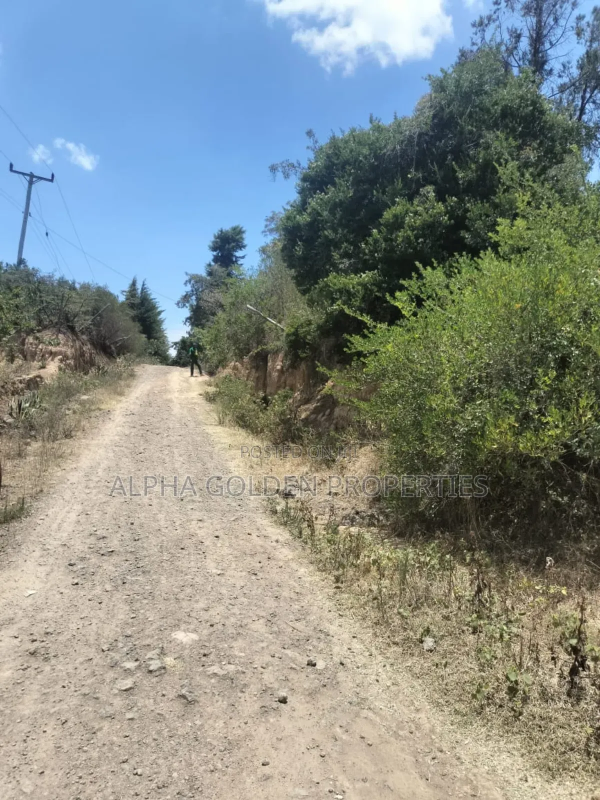 7.5 Acres in Nanyuki [ Airstrip Area ] in Nyahururu