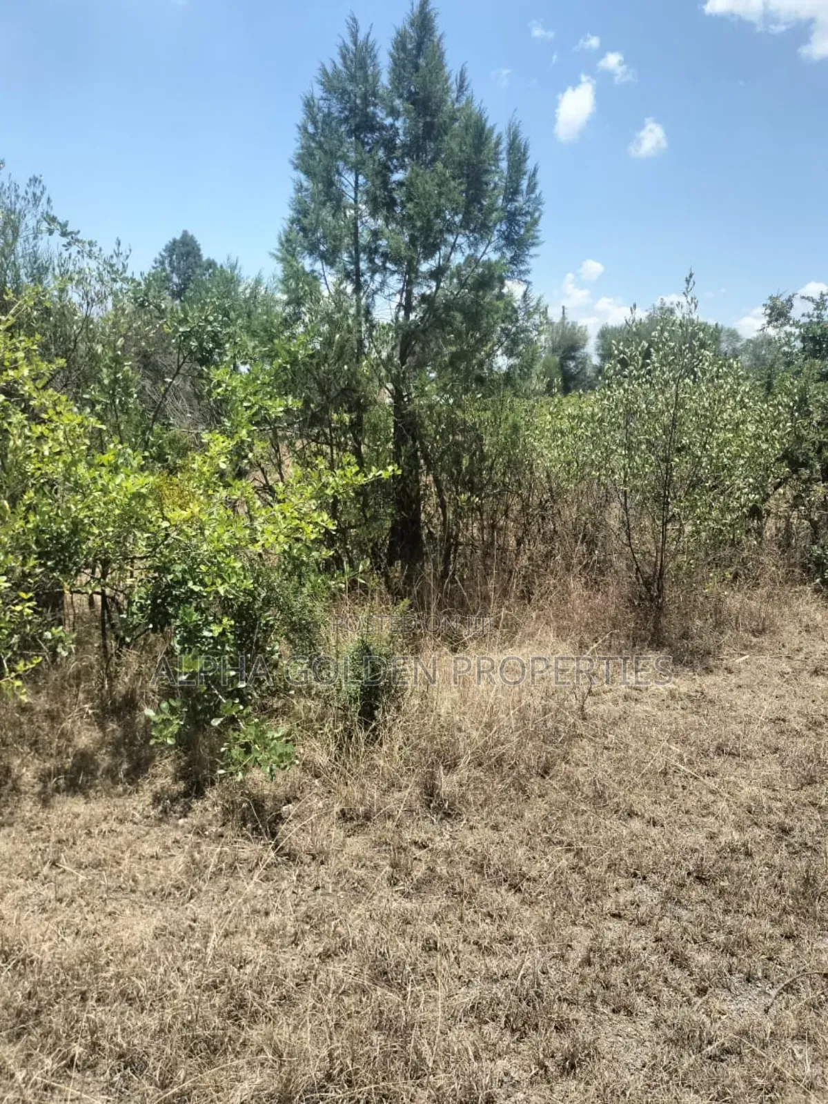 7.5 Acres in Nanyuki [ Airstrip Area ] in Nyahururu