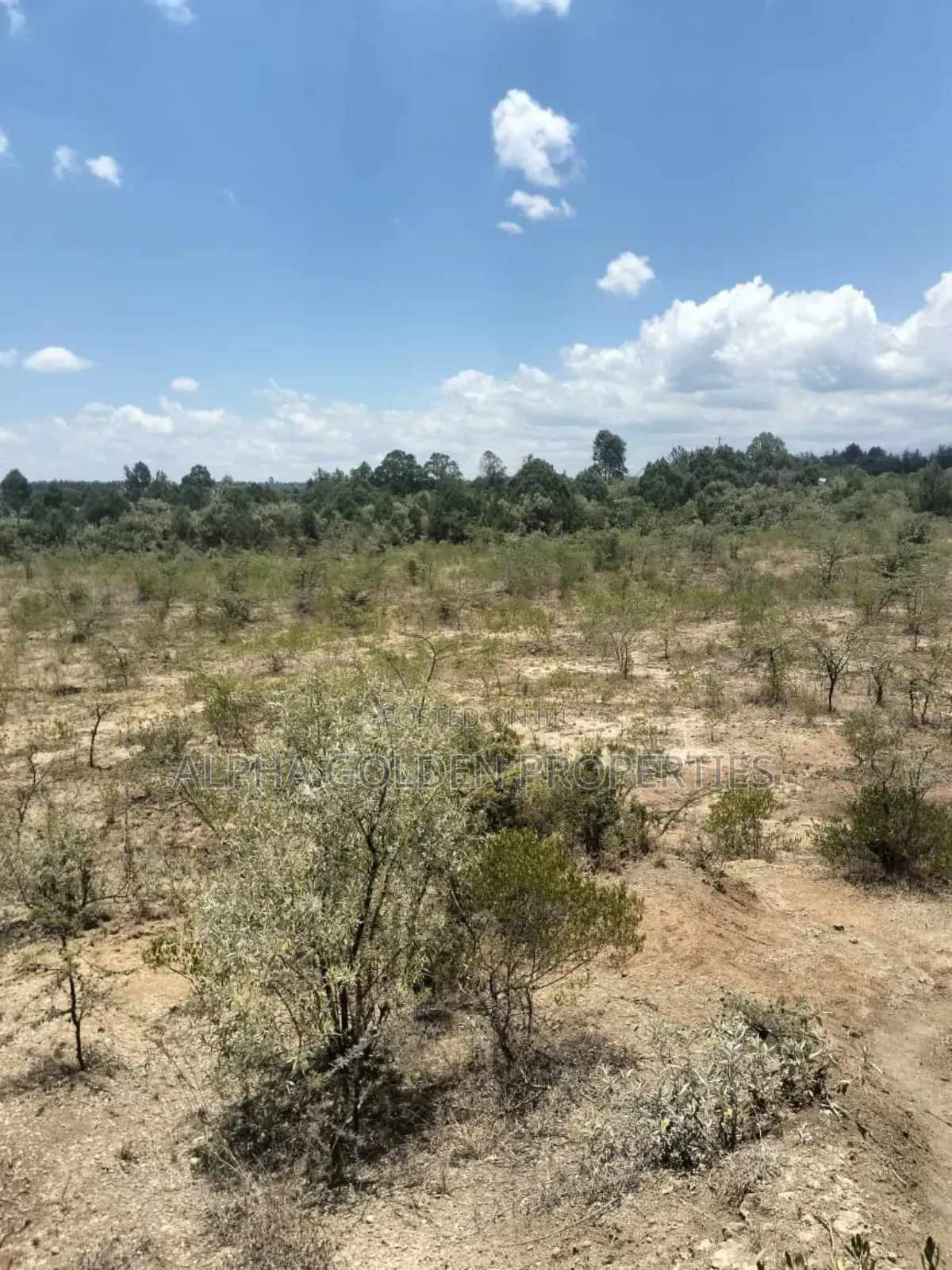 7.5 Acres in Nanyuki [ Airstrip Area ] in Nyahururu