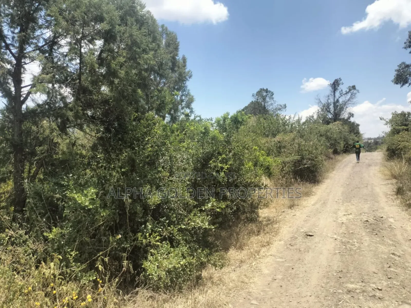 7.5 Acres in Nanyuki [ Airstrip Area ] in Nyahururu