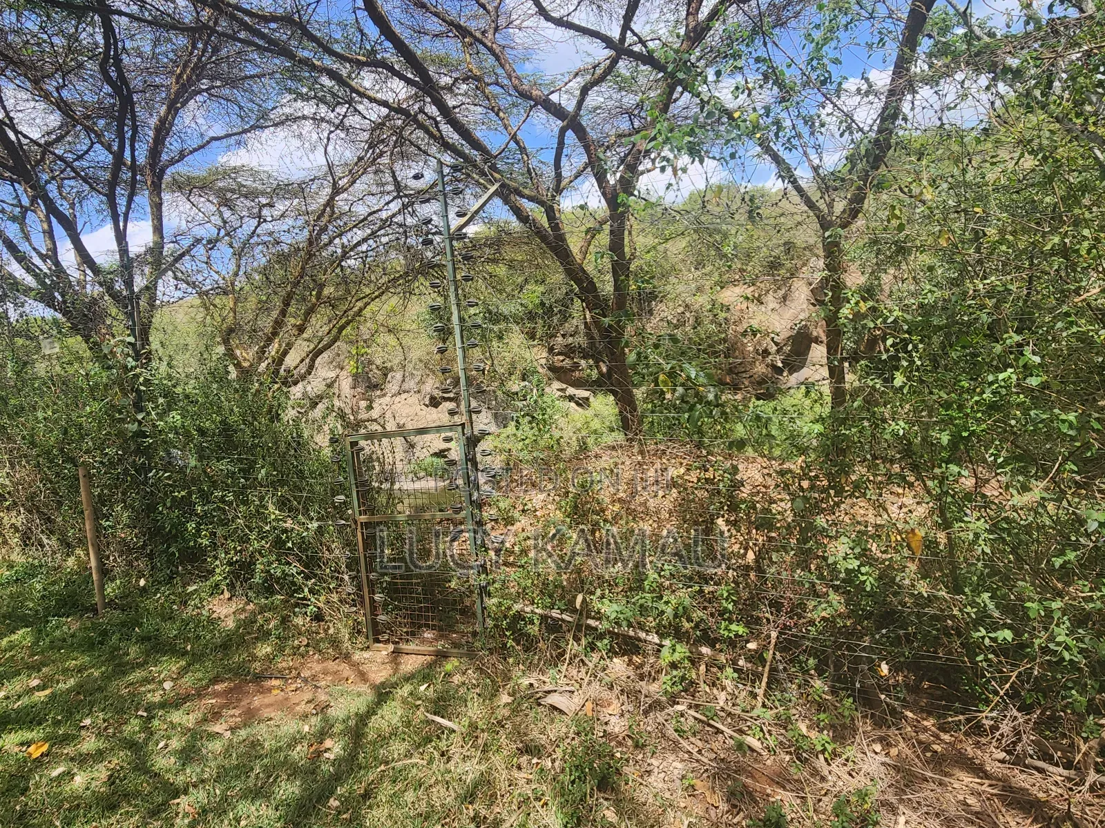 3⁄4 Acre Gem Fronting River and Nairobi National Park in Maasai Lodge