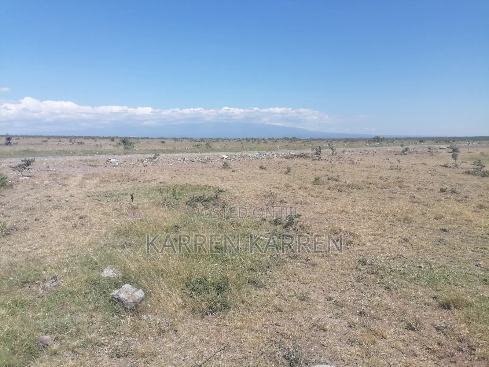 Prime Nanyuki Plots Opposite Ol Pejeta | Discounts Available in Nanyuki