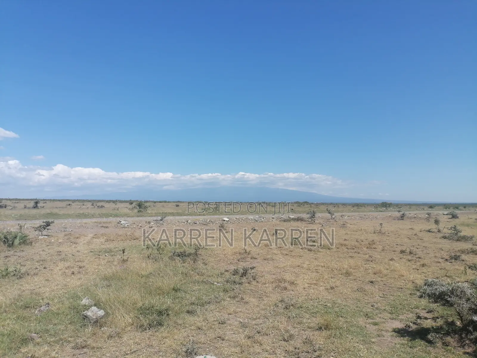 Prime Nanyuki Plots Opposite Ol Pejeta | Discounts Available in Nanyuki