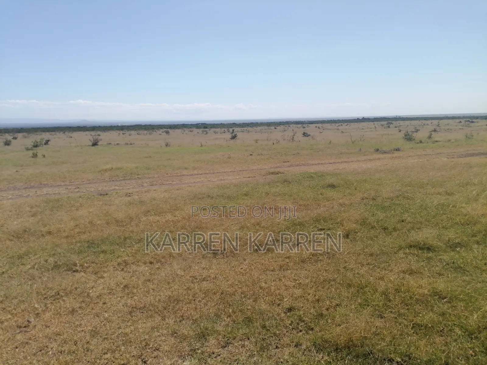 Prime Nanyuki Plots Opposite Ol Pejeta | Discounts Available in Nanyuki