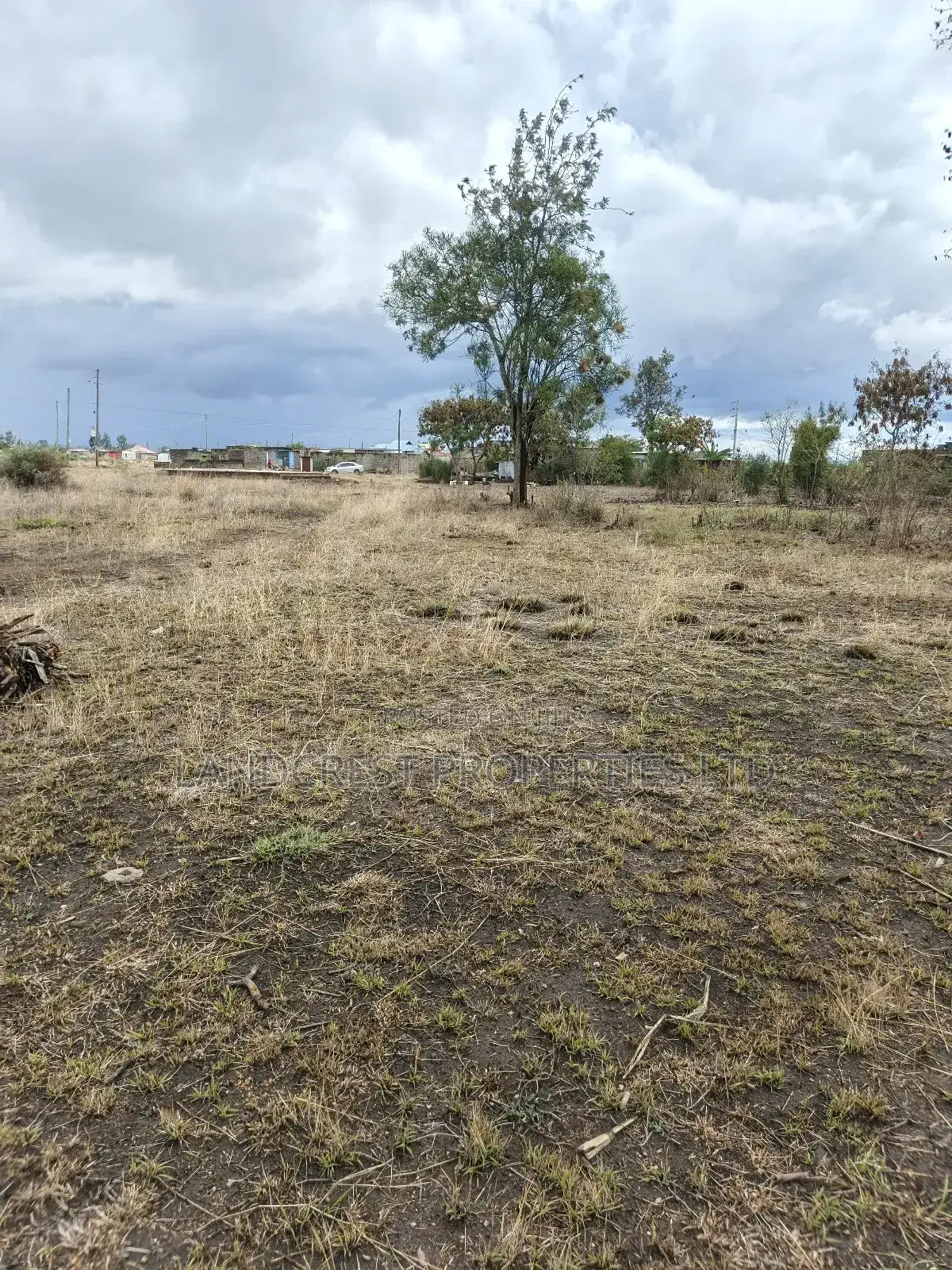40*60 Plot for Sale in Ruiru, Murera (Ndururumo) in Ruiru