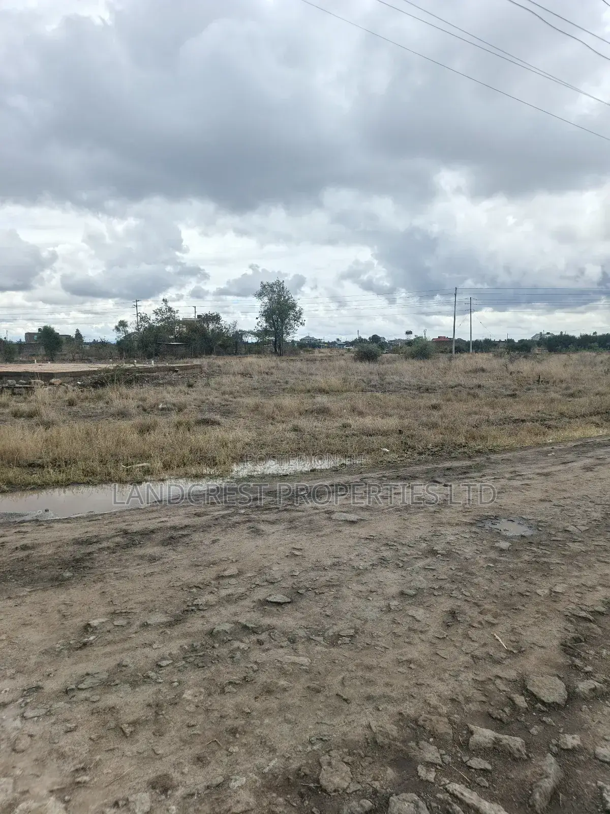 40*60 Plot for Sale in Ruiru, Murera (Ndururumo) in Ruiru