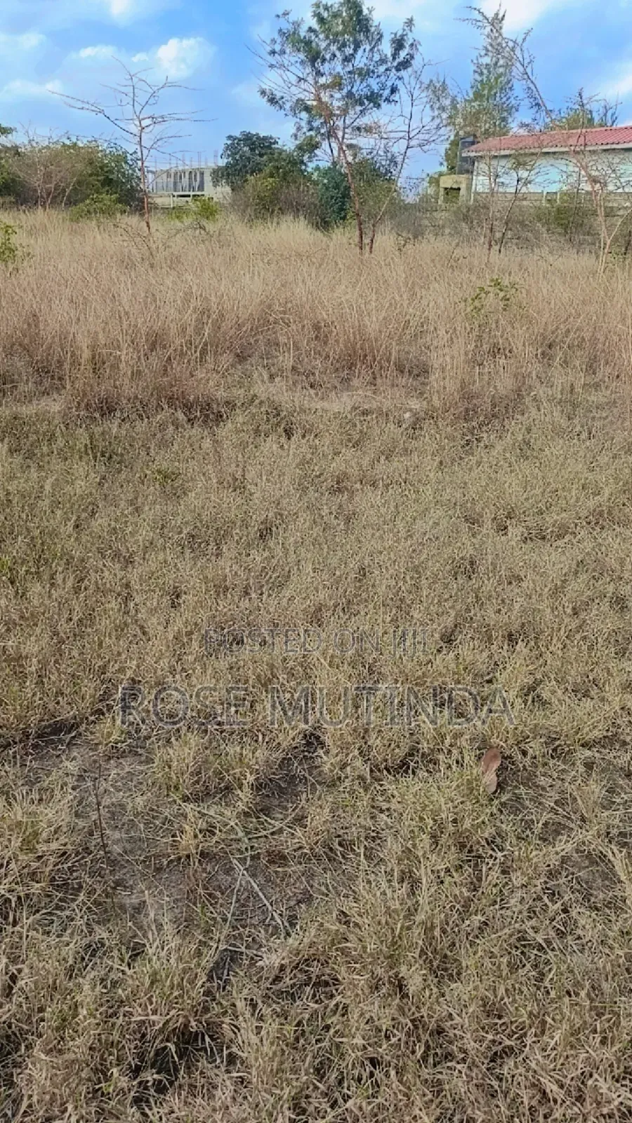 With Title in Koma Hills Area