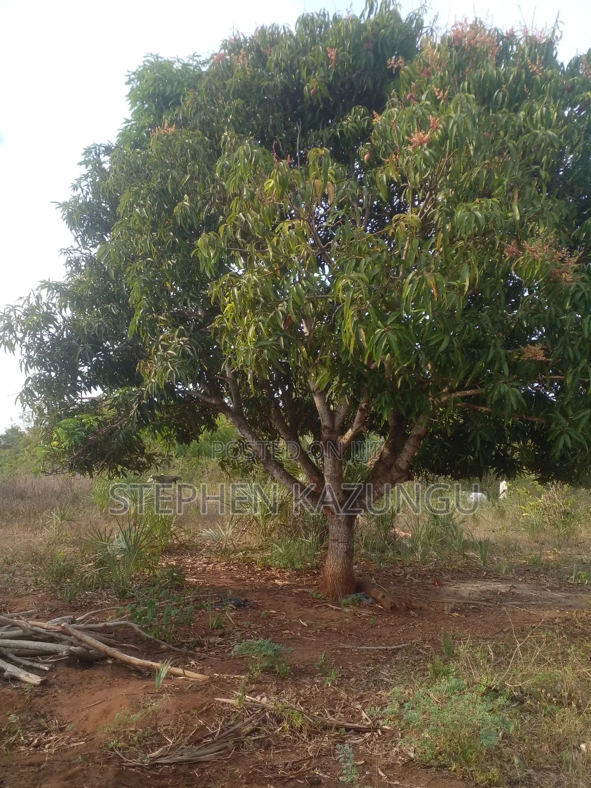 5 Acres Land 700 Metres From Beach in Ukunda