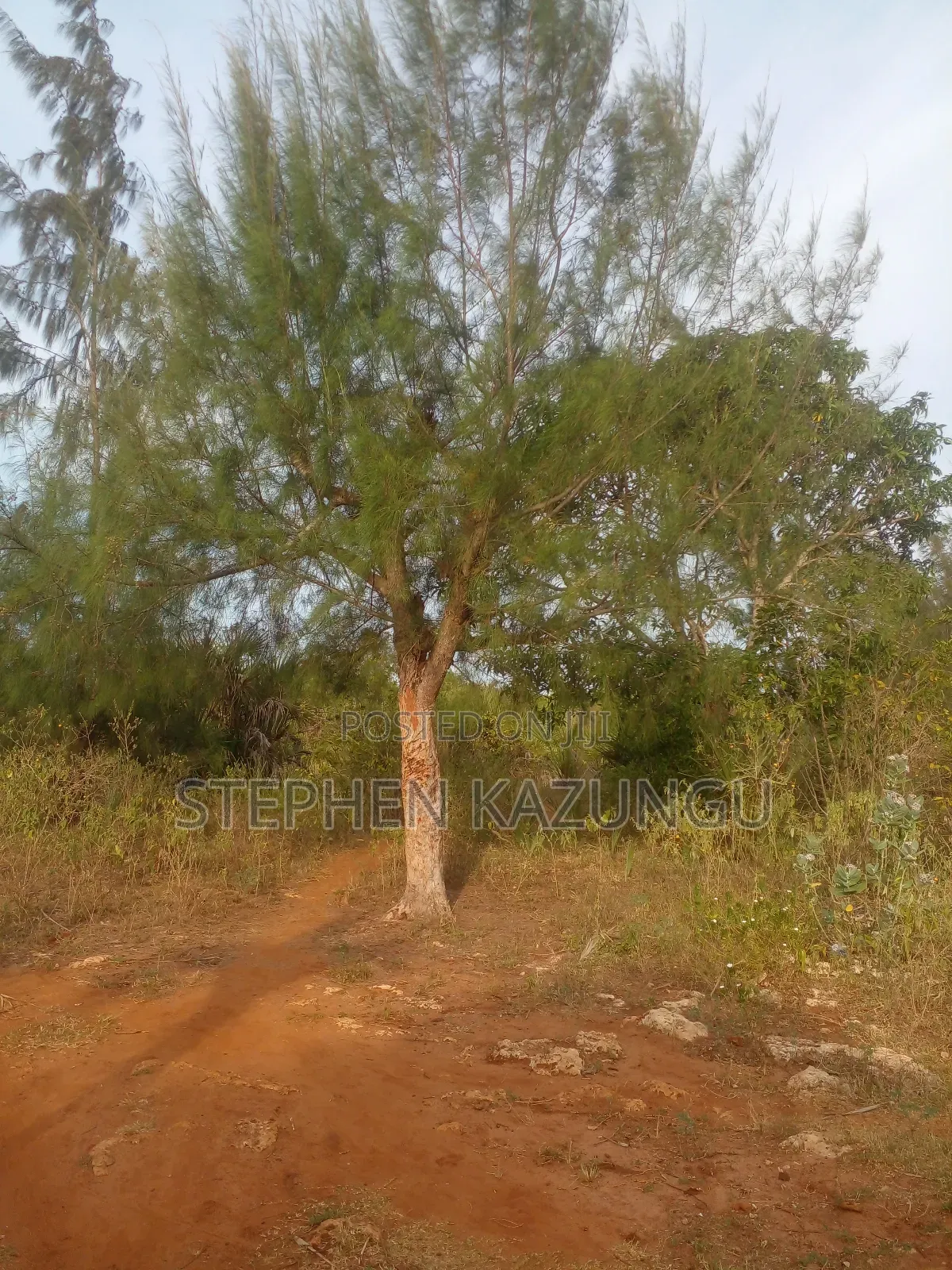 5 Acres Land 700 Metres From Beach in Ukunda