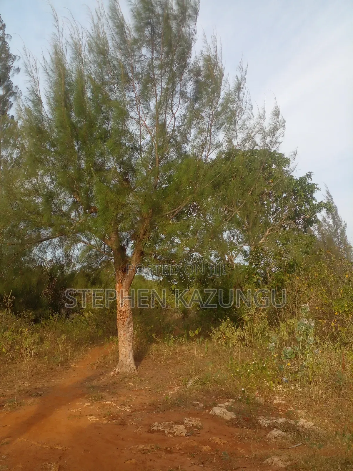 5 Acres Land 700 Metres From Beach in Ukunda