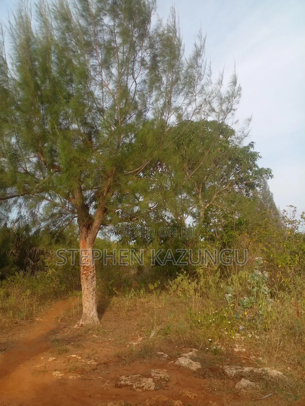 5 Acres Land 700 Metres From Beach in Ukunda