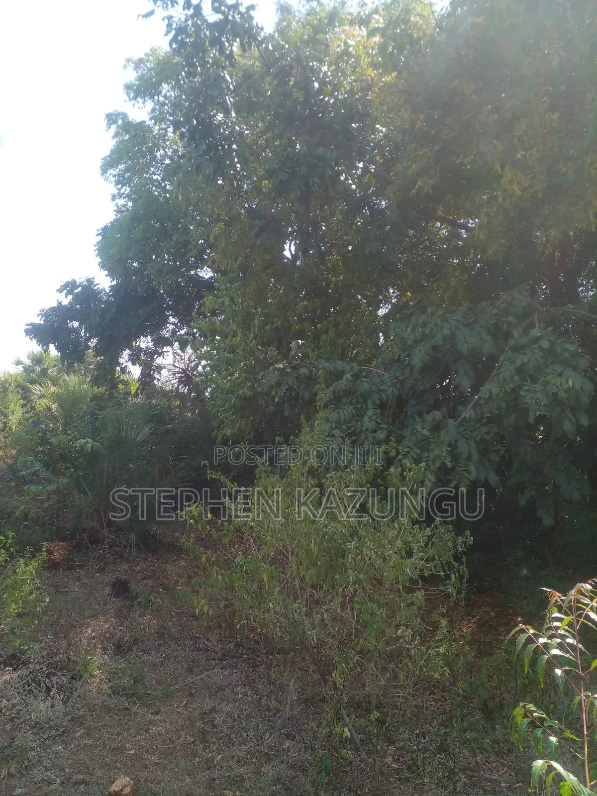 1/2 Acre Plot on Sale in Kinondo Beach Side. in Ukunda