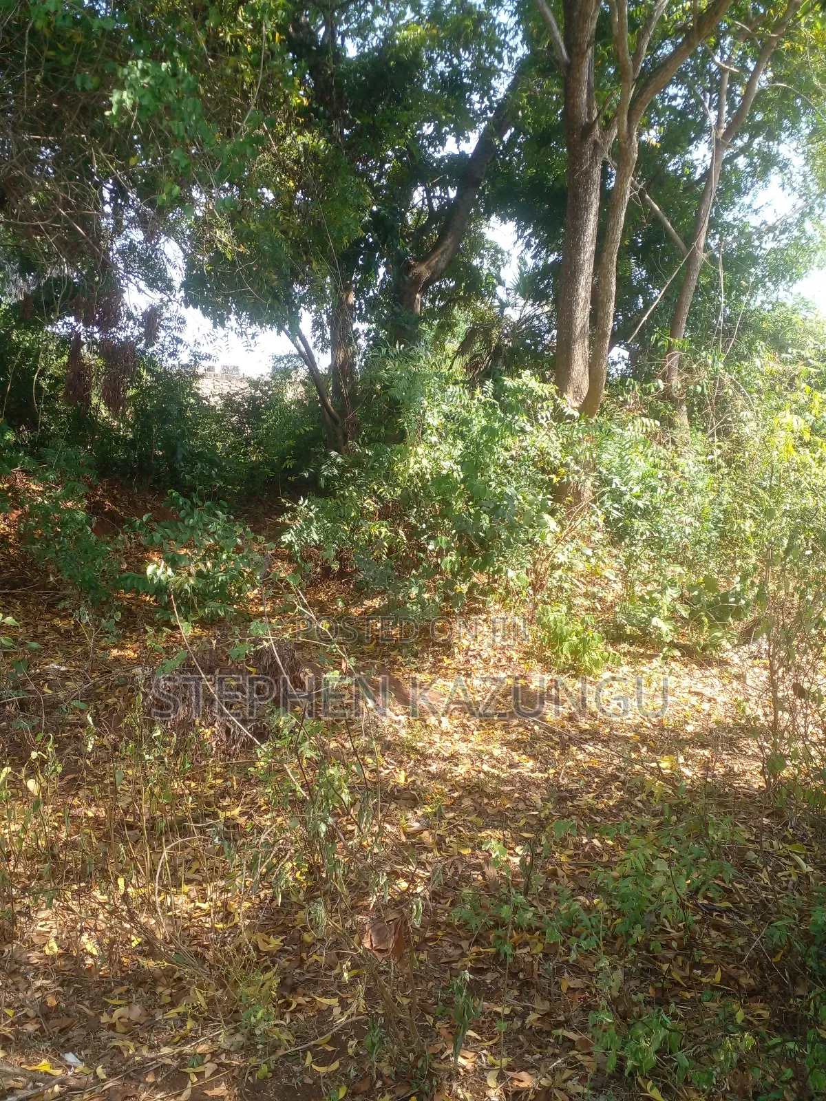 1/2 Acre Plot on Sale in Kinondo Beach Side. in Ukunda