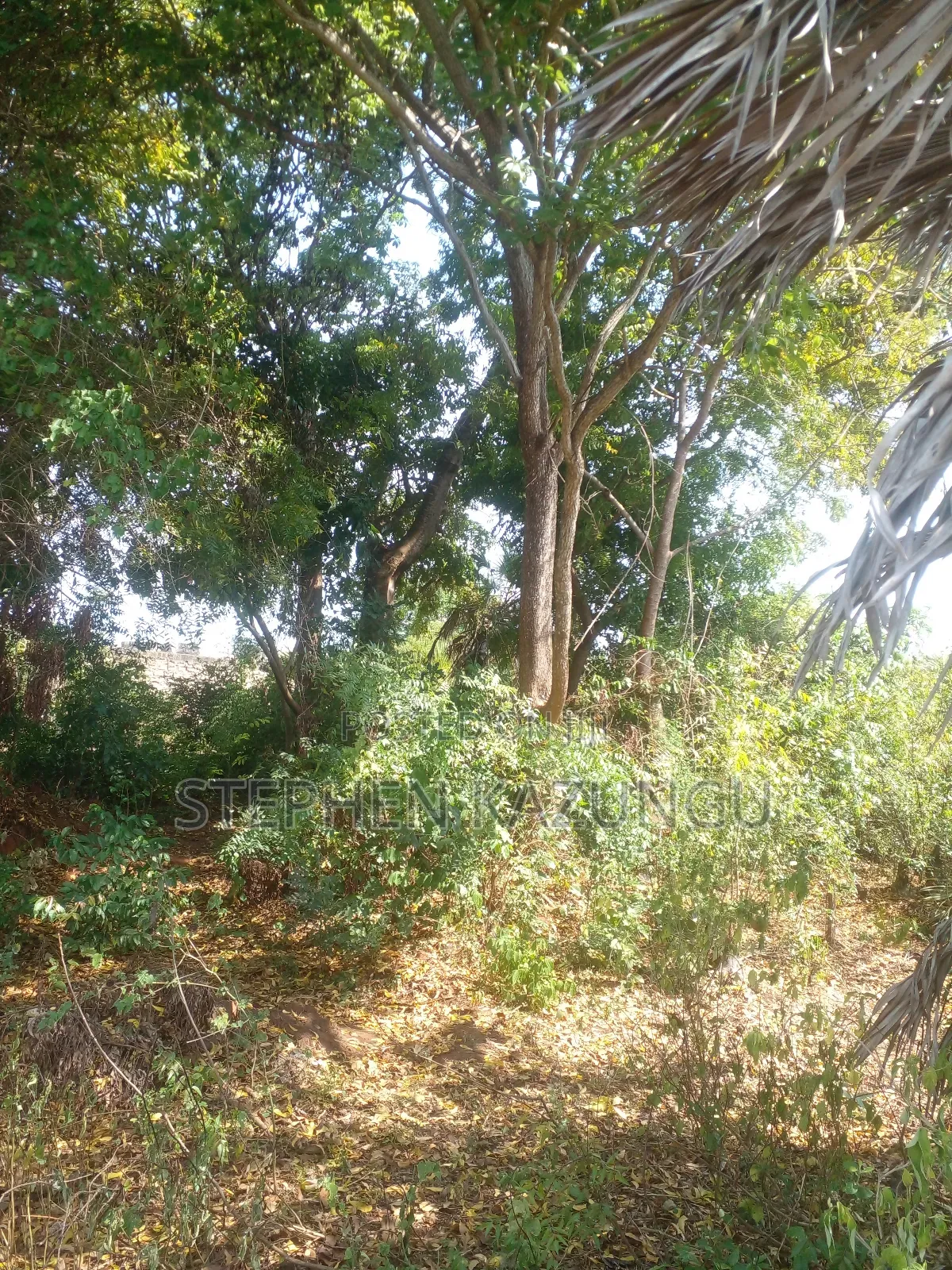 1/2 Acre Plot on Sale in Kinondo Beach Side. in Ukunda