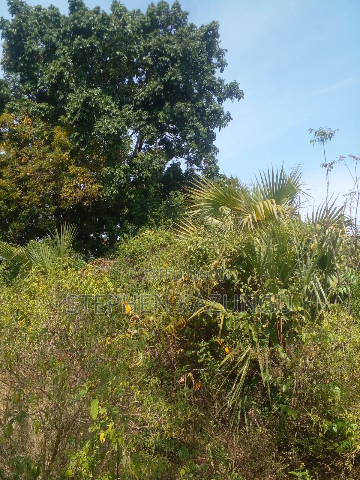 1/2 Acre Plot on Sale in Kinondo Beach Side. in Ukunda