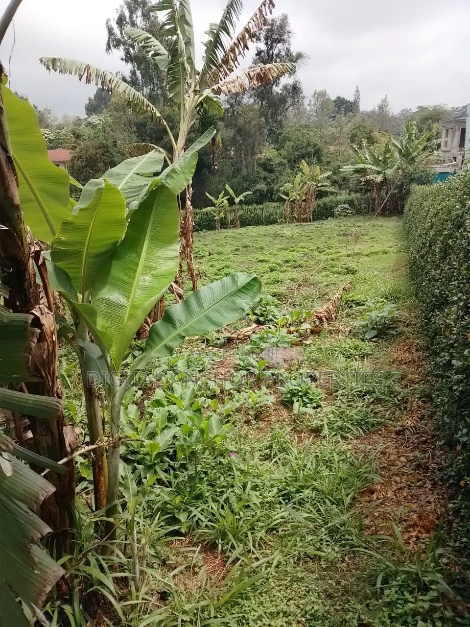 Prime Land for Sale Karen in Karen
