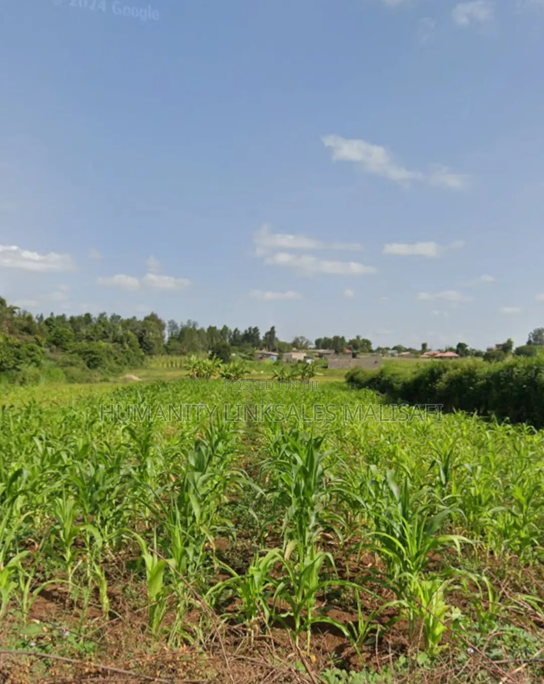 Multipurpose 5 Acres Land, Behind Wanguru Stadium, 300m From Tarmac in Mwea