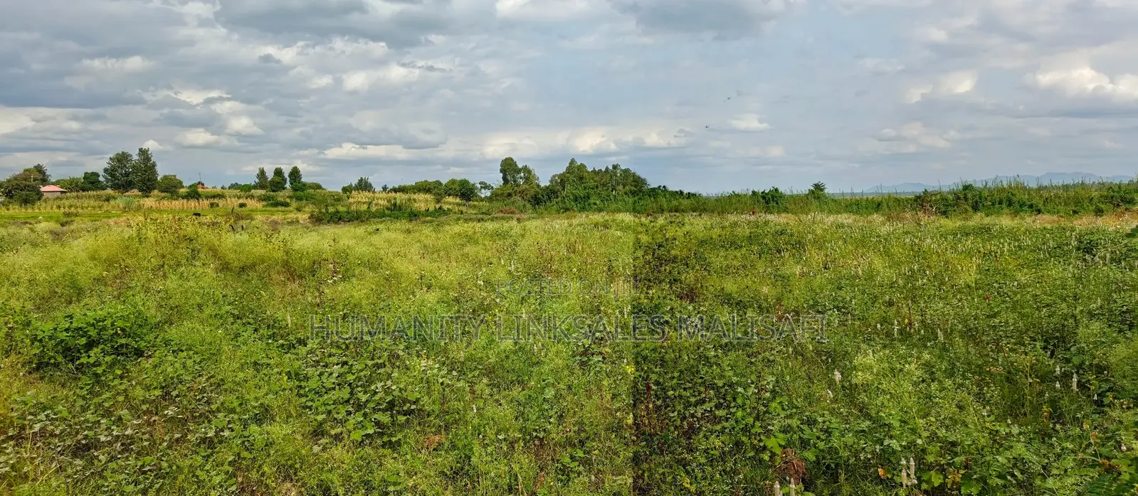 Multipurpose 5 Acres Land, Behind Wanguru Stadium, 300m From Tarmac in Mwea