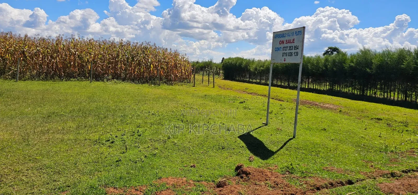 Prime Plots for Sale in Illula Centre in Illula