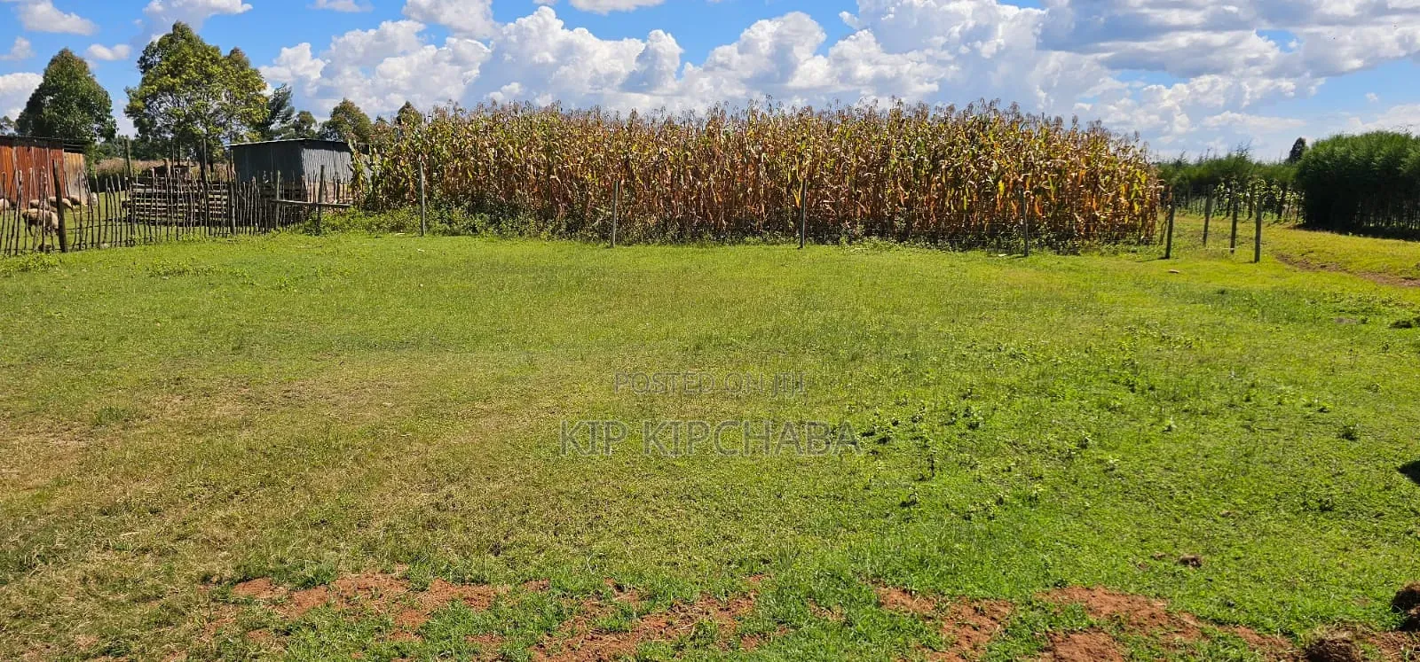 Prime Plots for Sale in Illula Centre in Illula