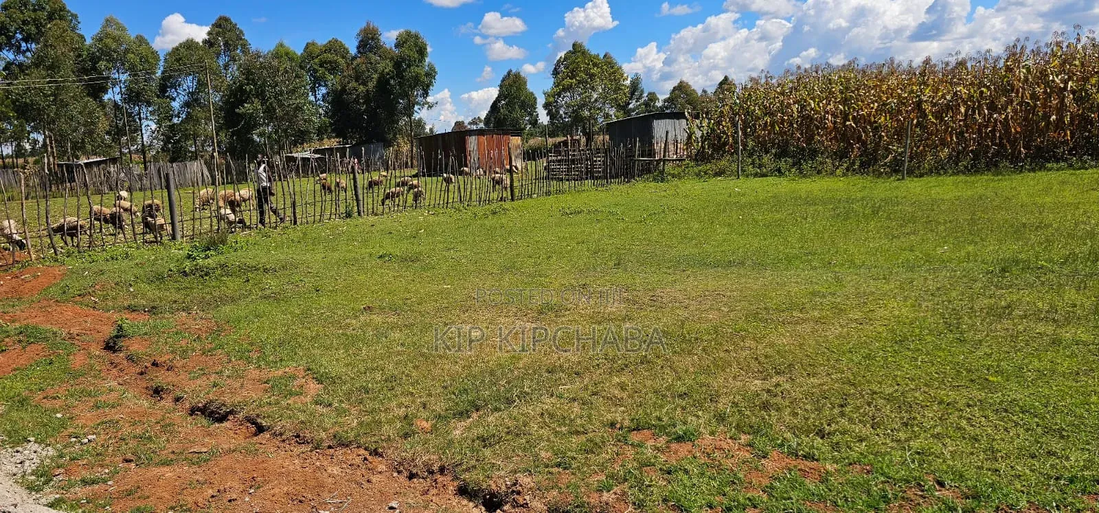 Prime Plots for Sale in Illula Centre in Illula