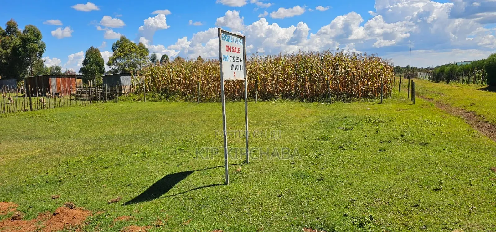 Prime Plots for Sale in Illula Centre in Illula